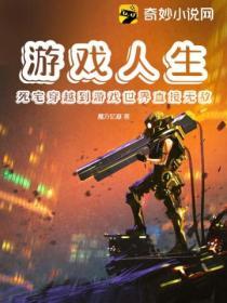 穿越游戏人生白