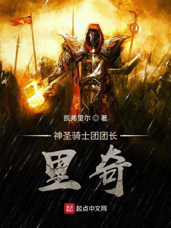 神圣骑士视频
