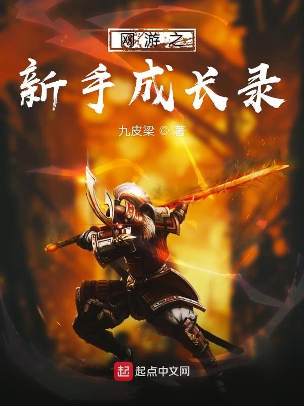 网游之新手的逆袭