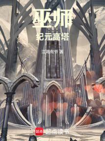 巫师纪元高塔怎么进