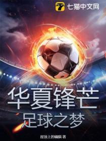华夏锋芒足球之梦TXT
