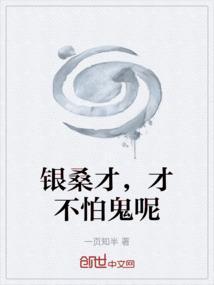 银桑的老婆