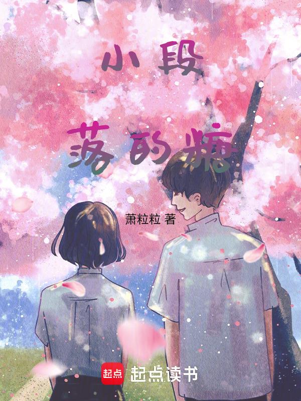小段落的意思