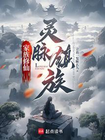 修仙家族大型灵脉