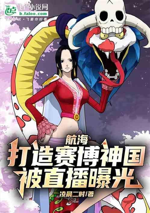 赛博中国