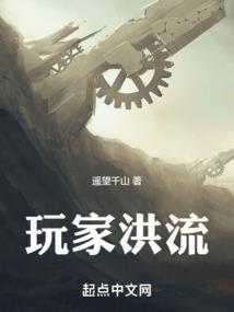 玩家流