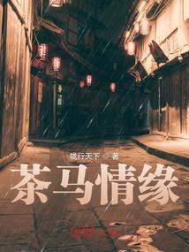 茶马风情烟