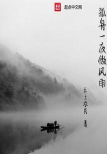 一夜孤舟什么意思