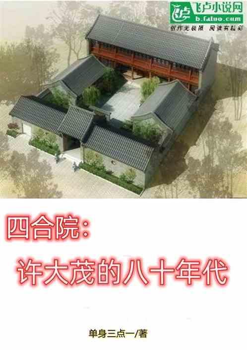 四合院之许大茂精彩人生