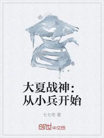 大夏战神叶君临