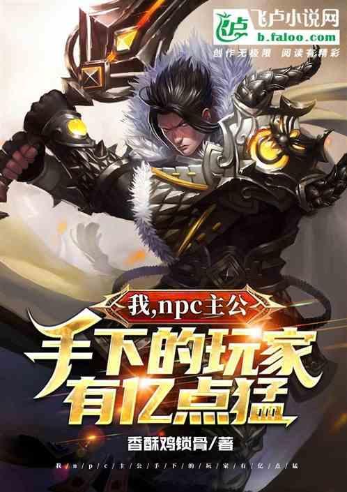 我npc城主