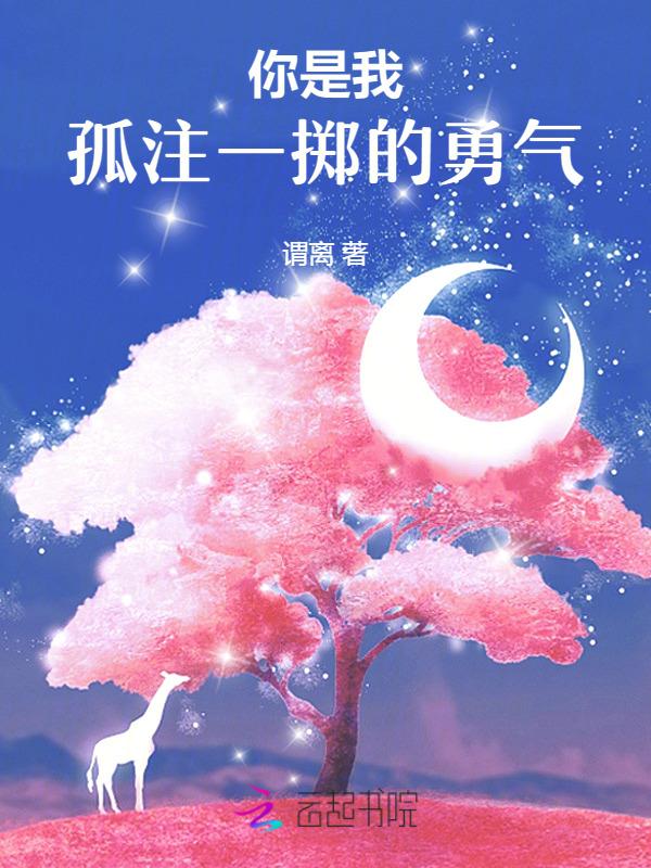 孤注一掷的歌词