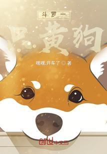 斗罗之一只白猫