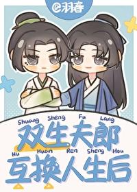 双生夫郎互换人生后by羽春TXT