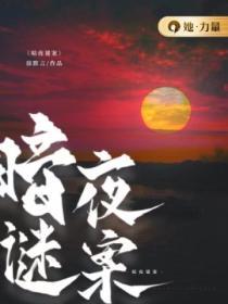 暗夜谜案全集免费播放