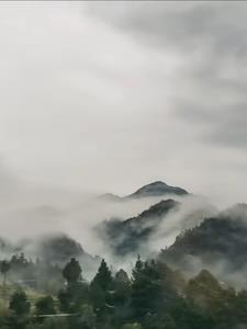 神秘复苏 阅文