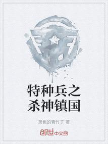 特种兵之超级杀神
