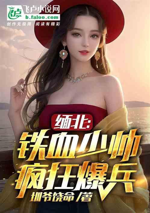 缅北战事视频
