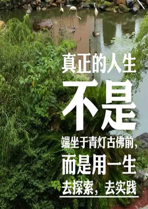 斜阳是什么意思解释一下