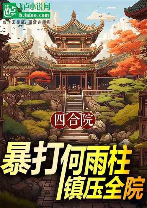 四合院 何雨柱