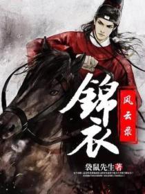 锦衣风流内容简介