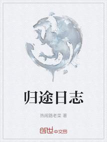 归途的旅程