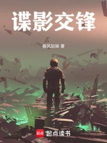 谍影风云全文阅读