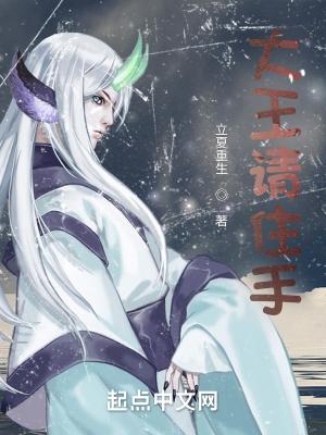 大王请住手几个老婆