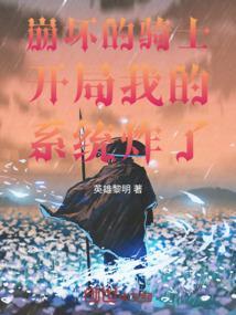 穿越崩坏的我