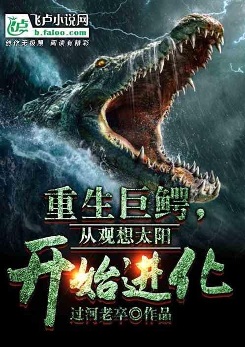 从观想太阳开始进化