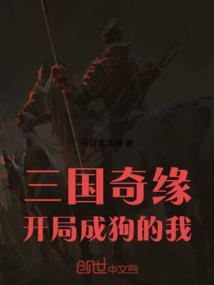 三国开局成了国舅