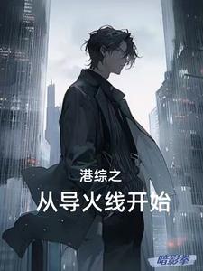 港综警界枭雄txt