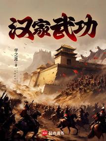 汉家武士
