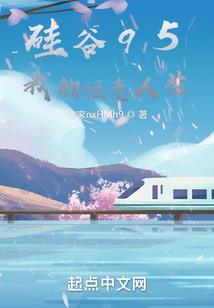 硅谷生活