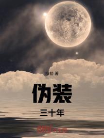 伪装zhe