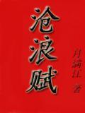 梦幻西游沧浪赋