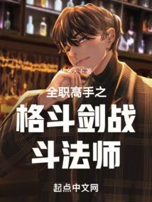 全职高手拳法家