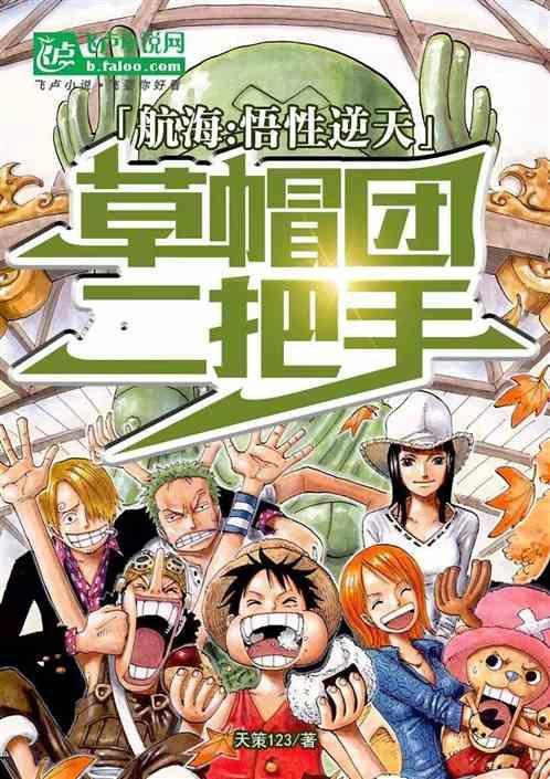 草帽团的航海士是谁