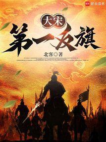 大宋第一反旗笔趣阁