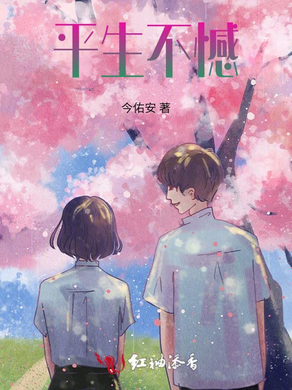 平生之憾