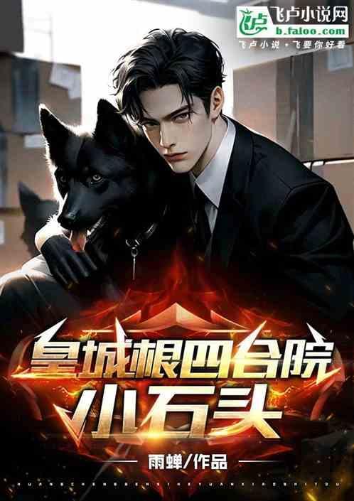 皇城根下四合院详情
