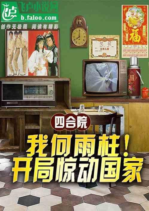 四合院之我是何雨住