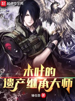 木叶的遗产继承大师贴吧