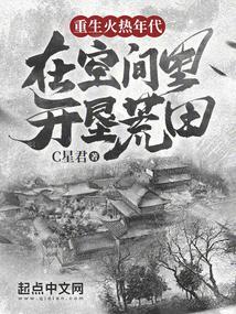 重生火热年代在空间里开垦荒田