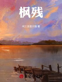枫残琴魔域花了多少钱
