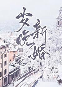 岁晚迟暮