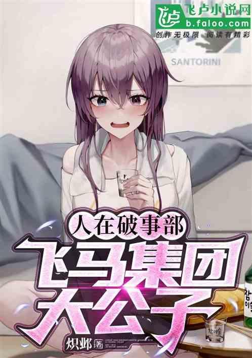 飞马集团董事长