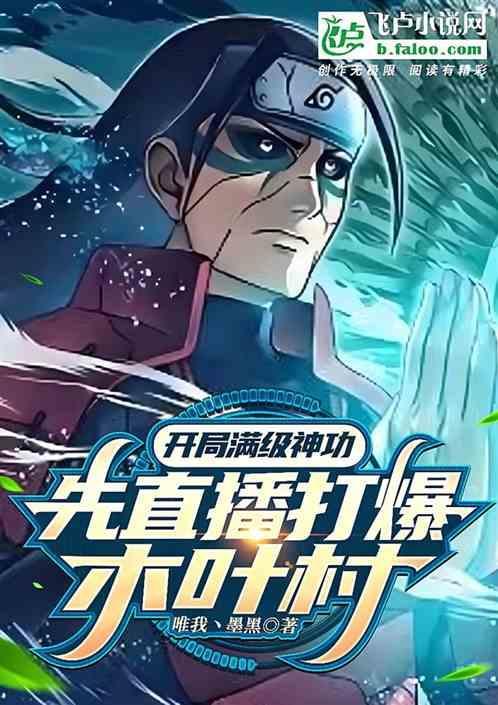 开局就满级叶秋