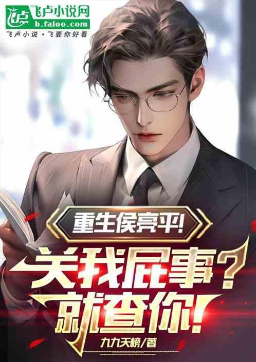 重生之我是侯亮平