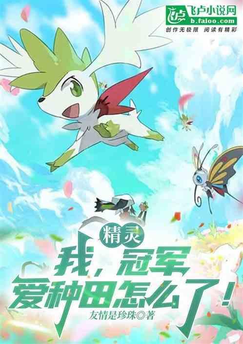 精灵之冠军系统